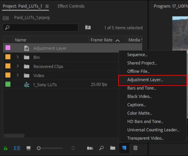 create a new adjustment layer