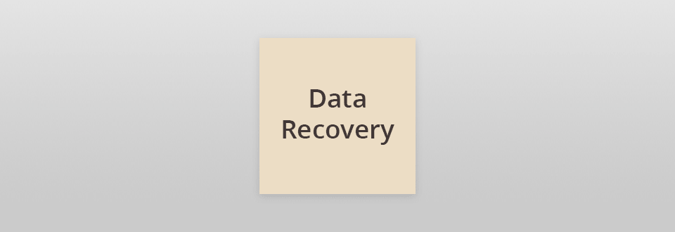 data recovery logo