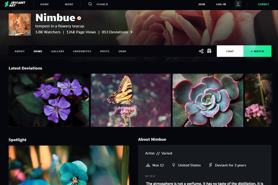 deviantart portfolio service