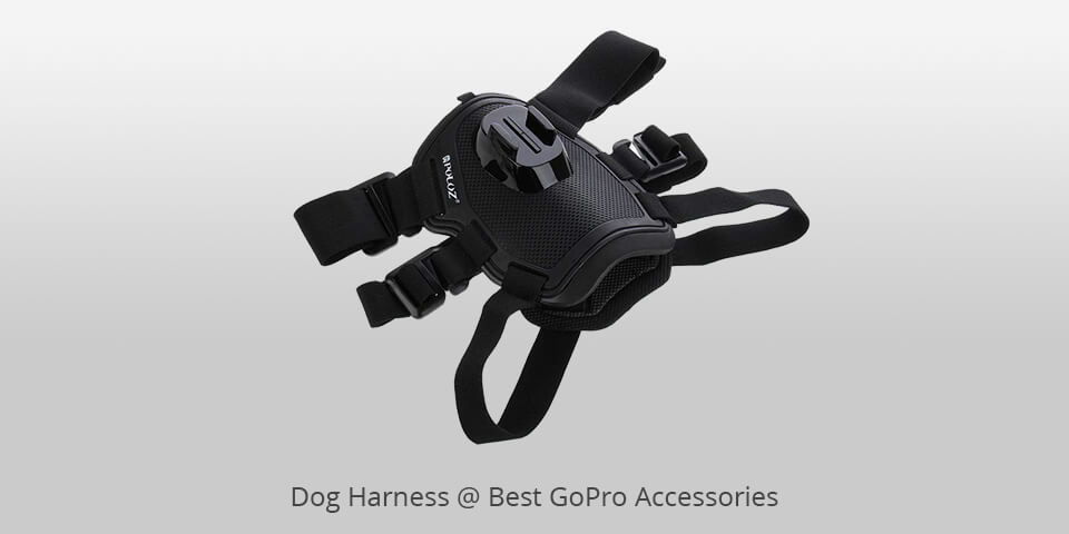 dog harness best gopro accessories 