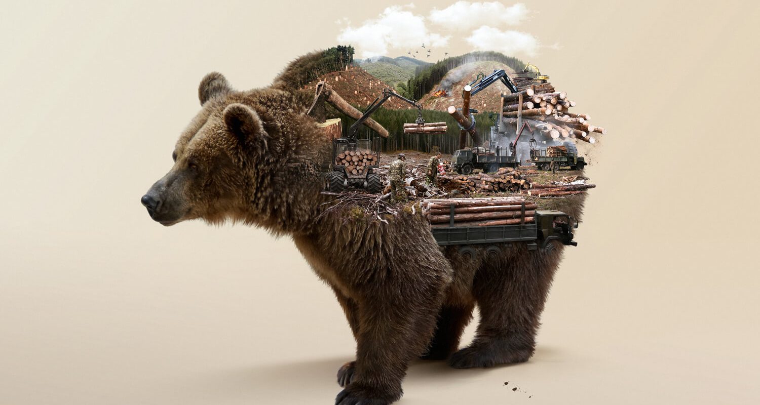 double exposure photo animal silhouette