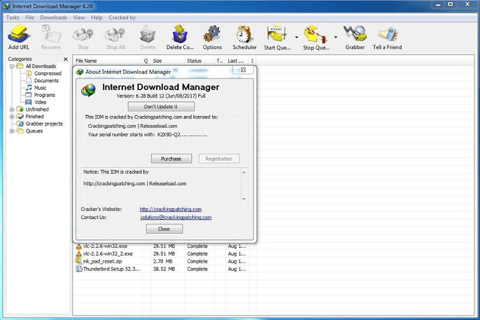 download internet download manager 6.28 interface