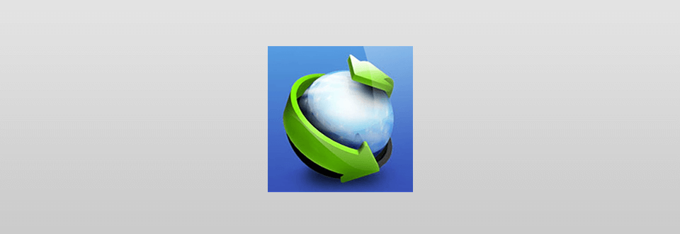 download internet download manager 6.28 logo