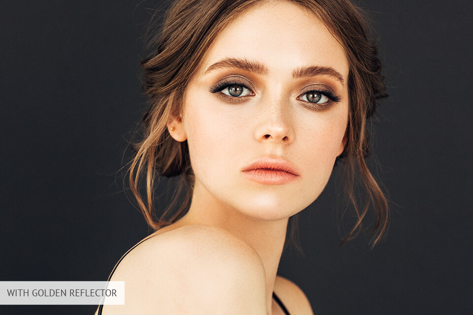 mountdog best gold reflector board