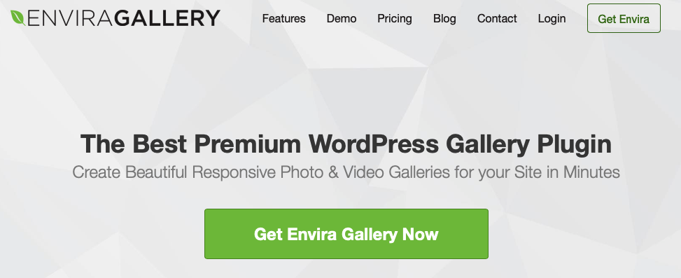 get envira gallery now 