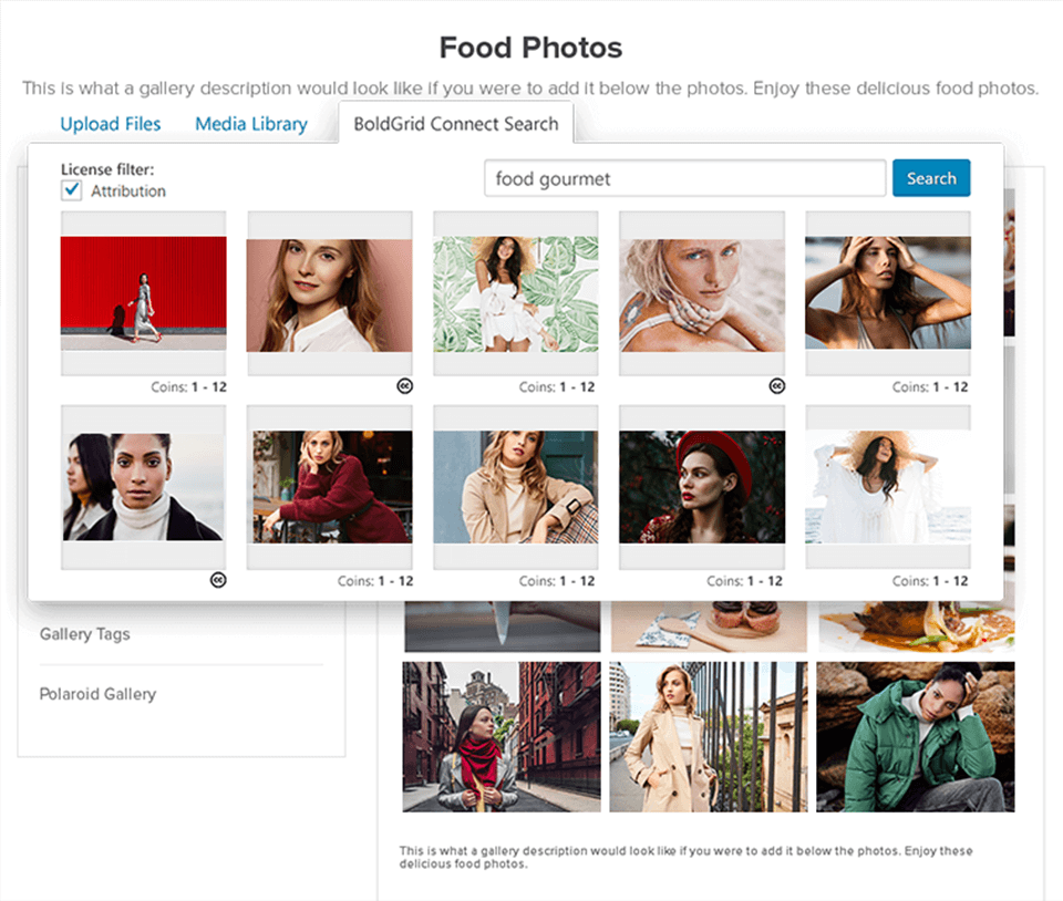 envira gallery interface 
