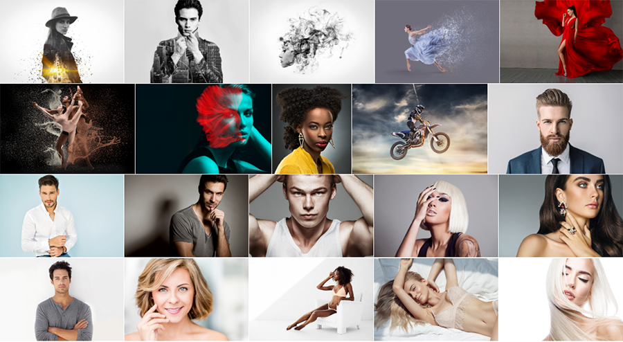 envira gallery displaying your gallery