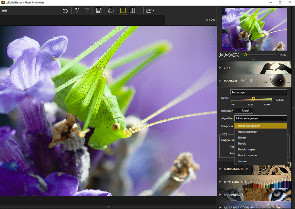 escala intensiva inpixio photo maximizer en 1000%