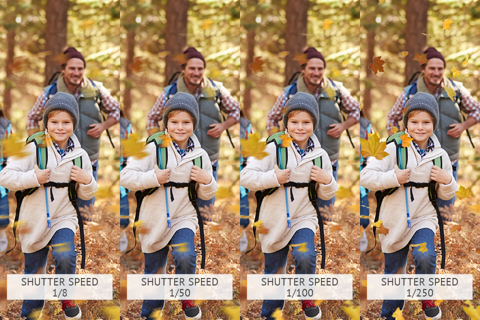 outdoor family portraits