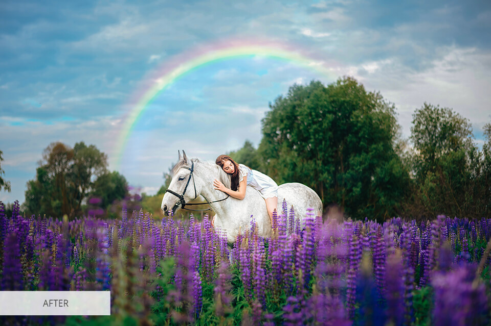 fotofix alternative service example