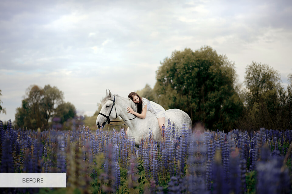 fotofix alternative service example