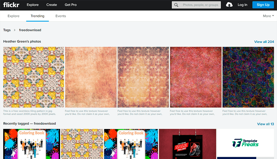 flickr acdsee alternative interface