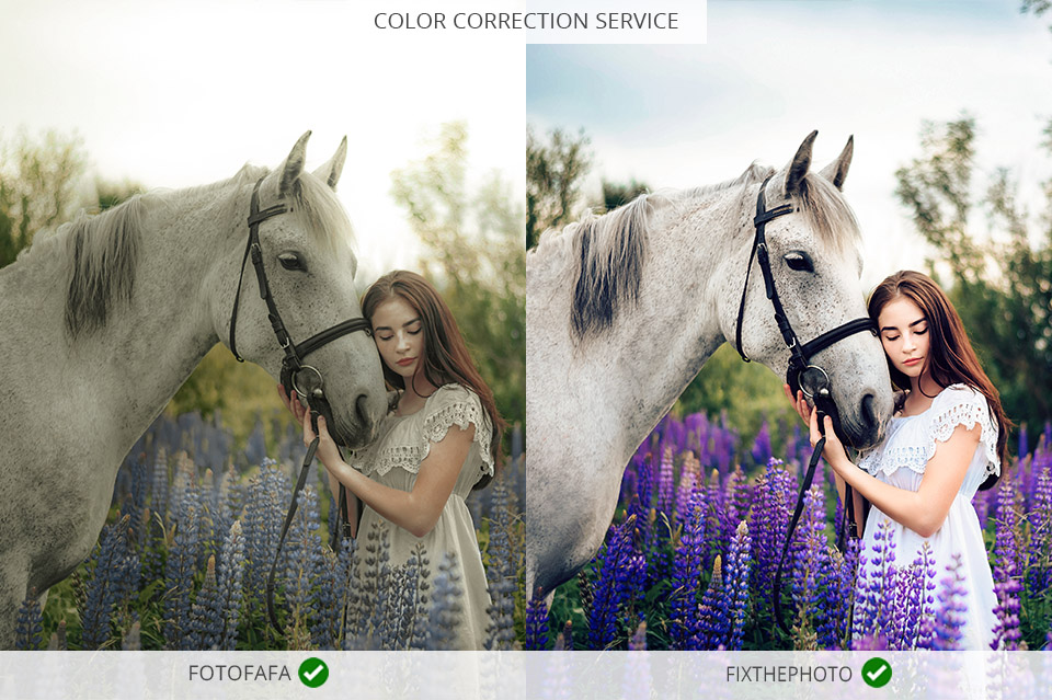 fotofafa vs fixthephoto comparison