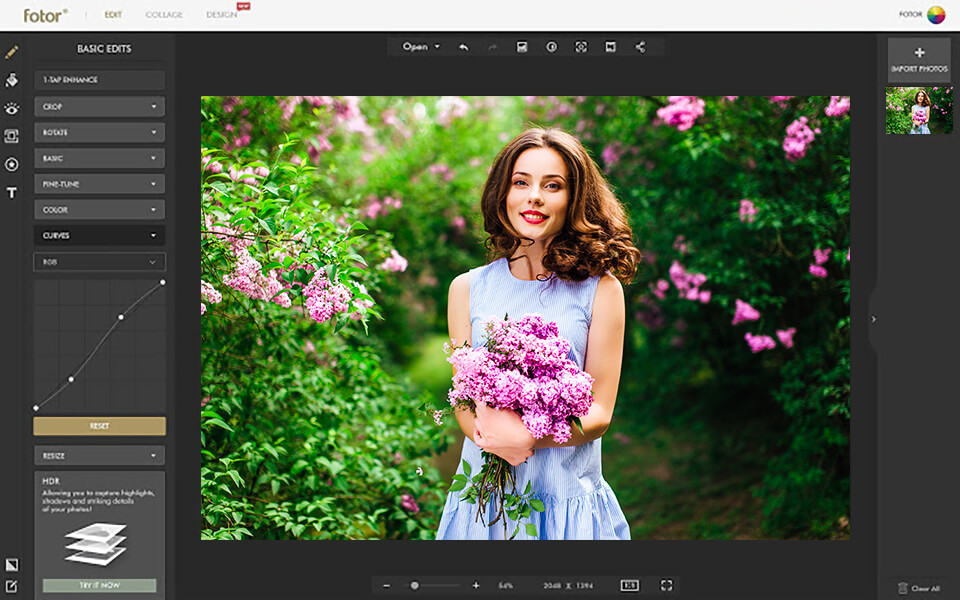 fotor software interface