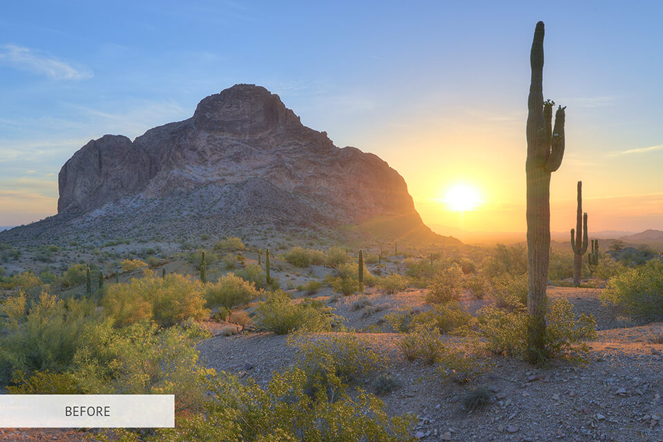 free capture one torrent landscape style