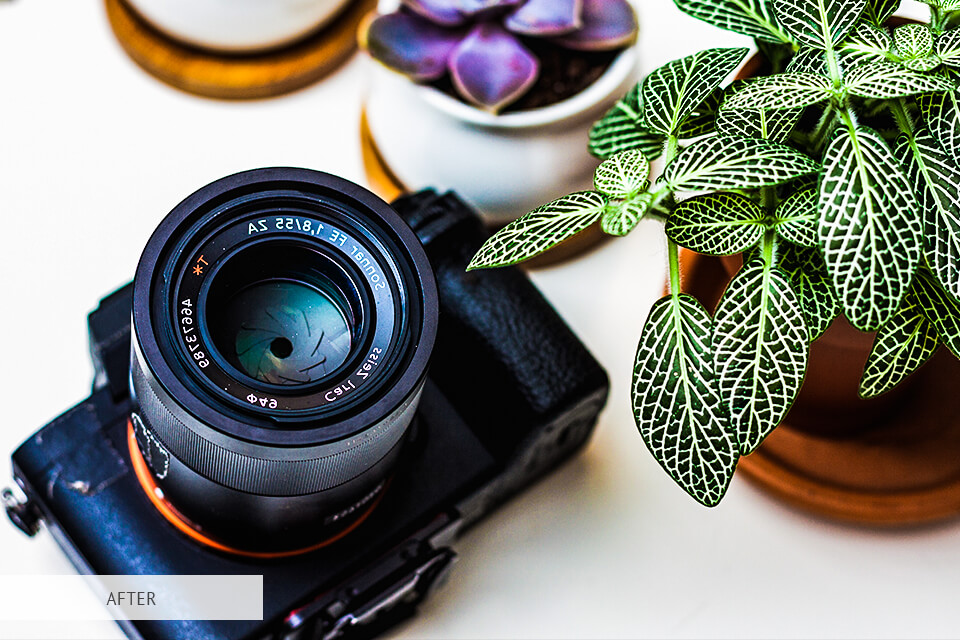 free lightroom preset for creative macro photography