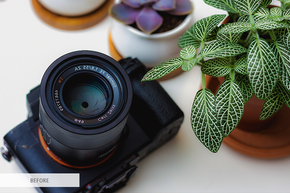 free lightroom preset for creative macro photography