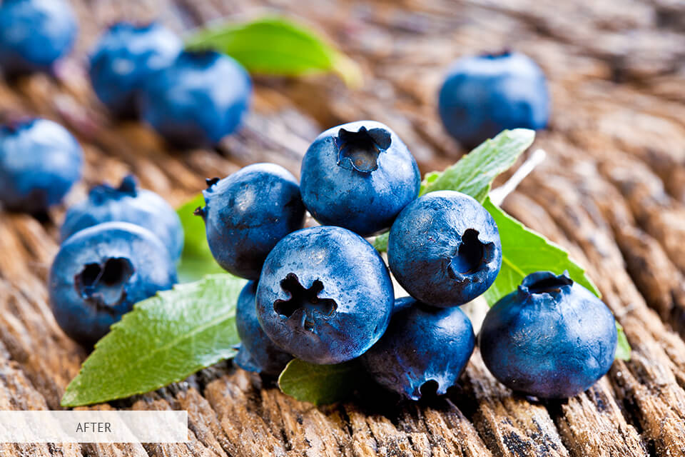 free lightroom preset for macro photography ideas