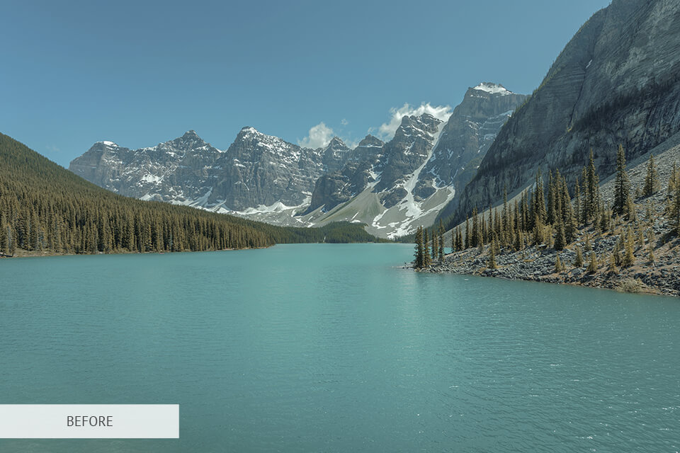 free lightroom preset for nature photography editing