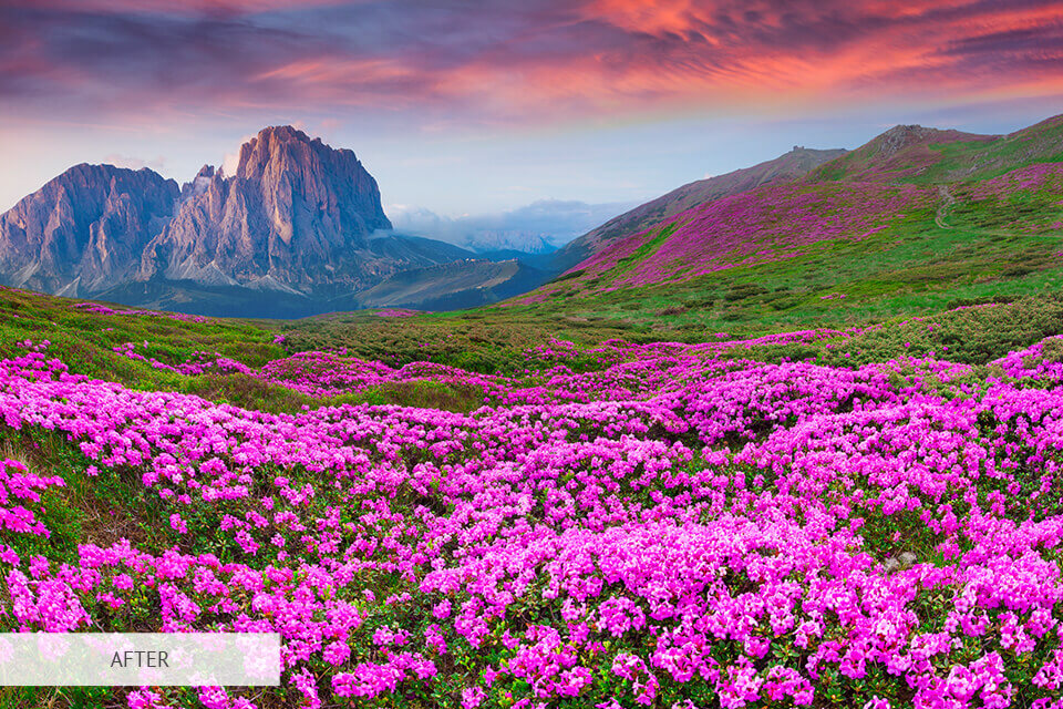 free photoshop action for nature photography editing