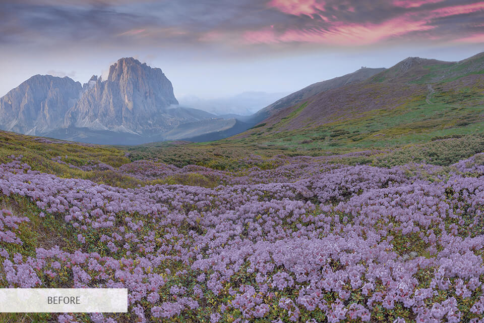 free photoshop action for nature photography editing