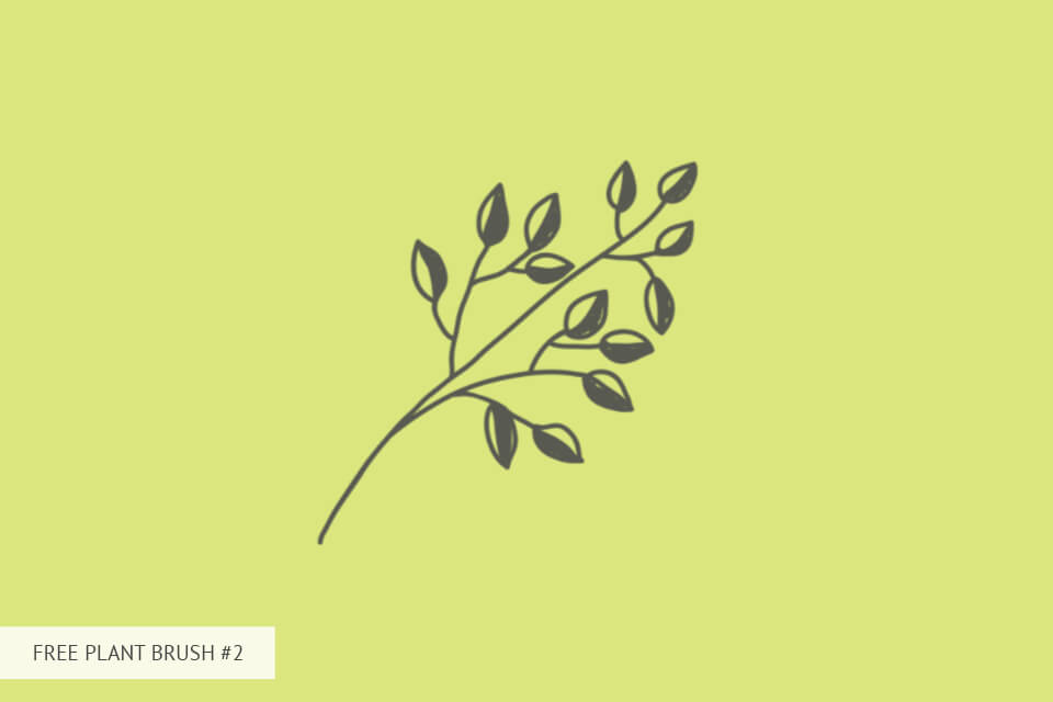 plant brushes for adobe fresco