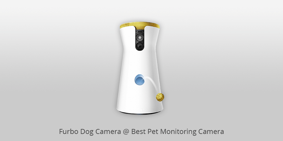 pet monitoring camera furbo