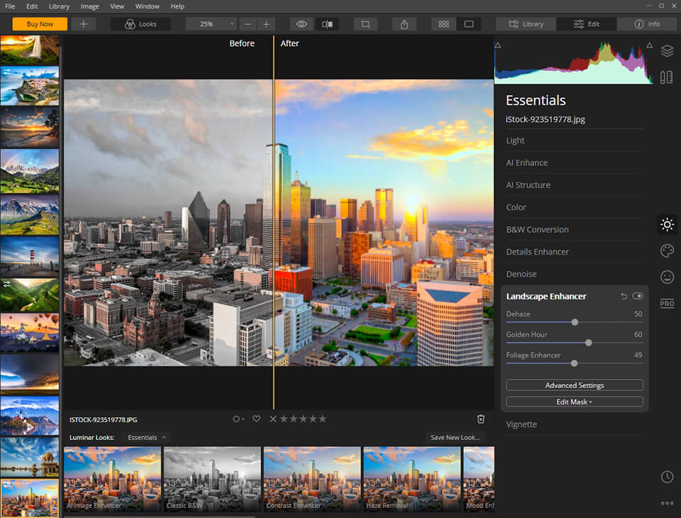 luminar smart tone filter