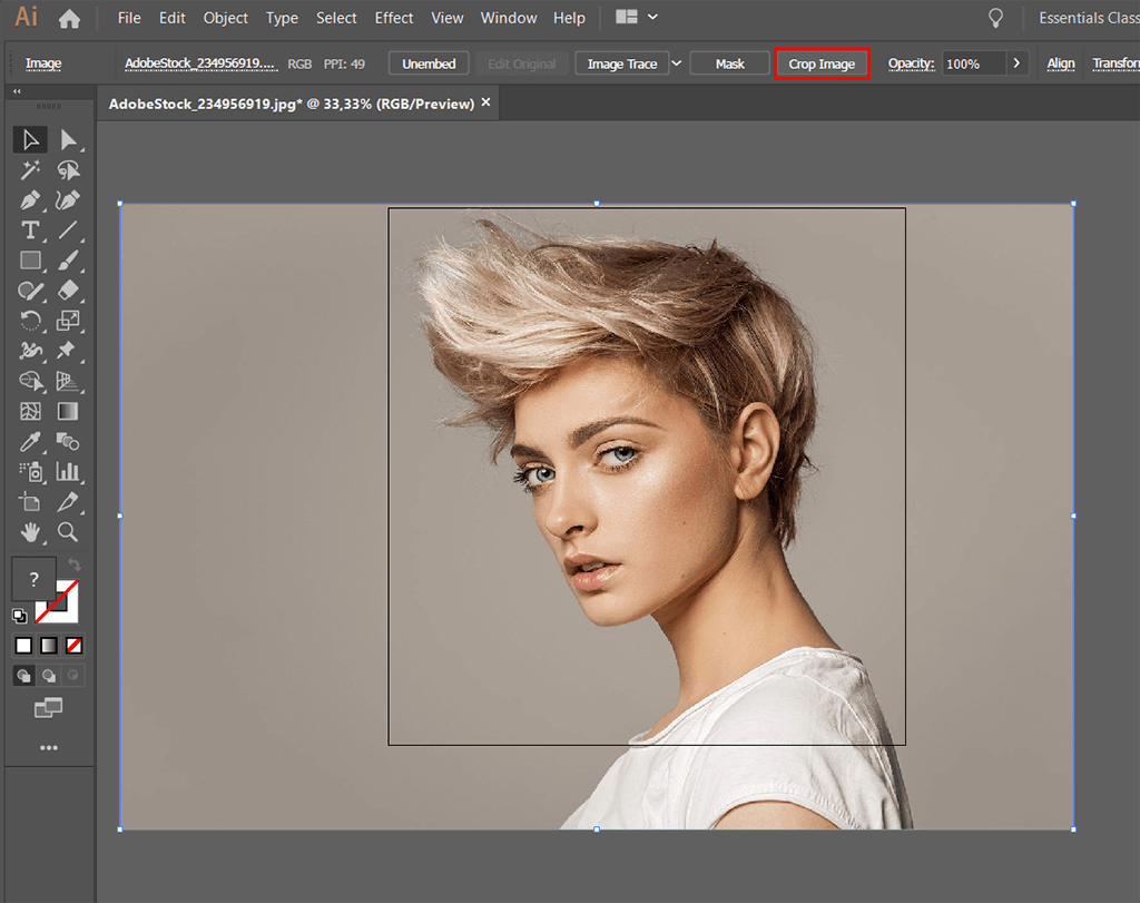 how to crop in illustrator cropping