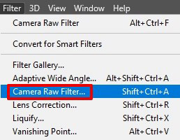 how to make a photo look vintage camera raw filter