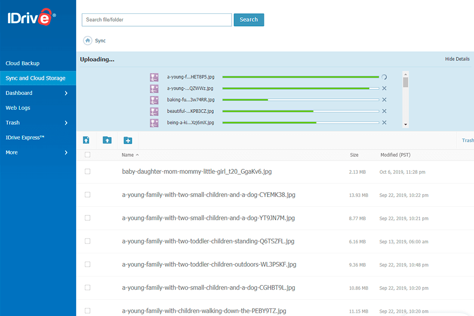 idrive online backup service interface