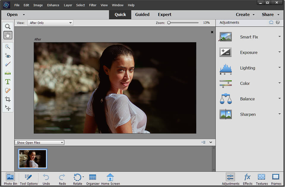interfaz de photoshop elements
