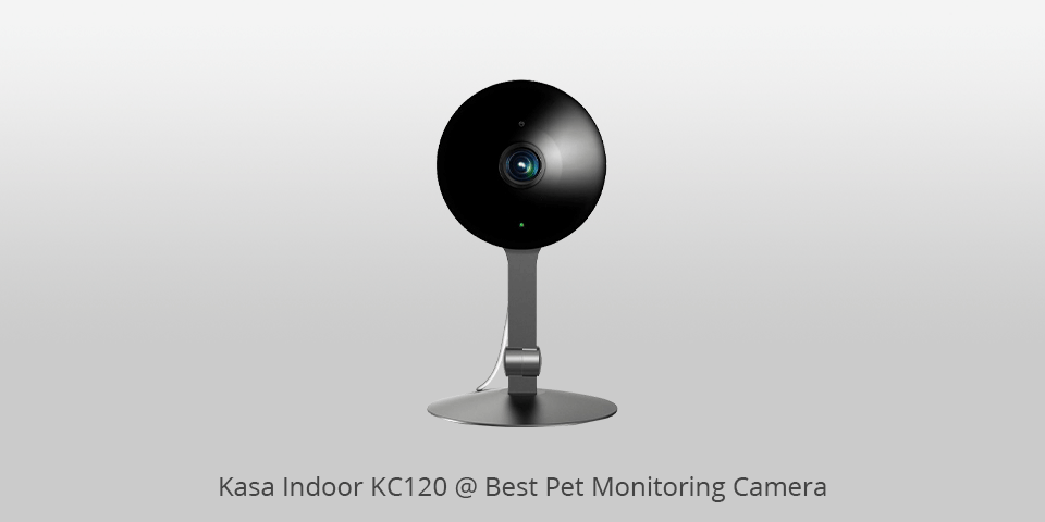 pet monitoring camera kasa kc120