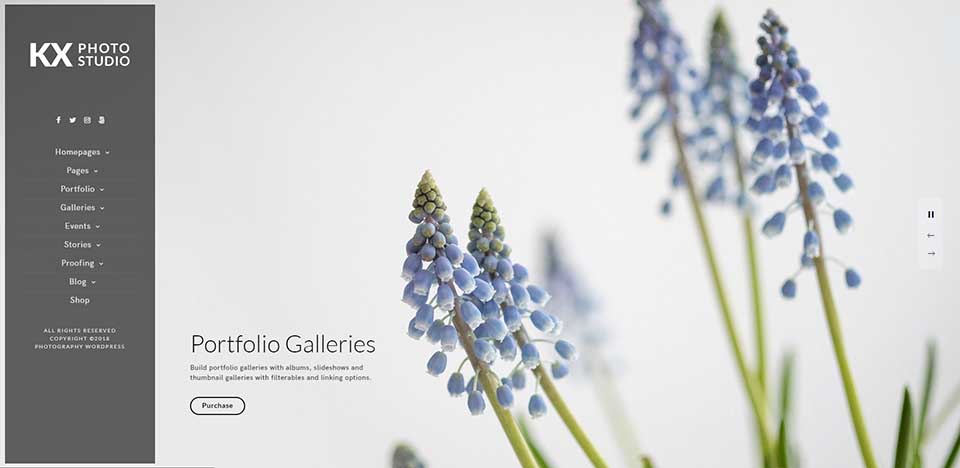 kinatrix wordpress theme