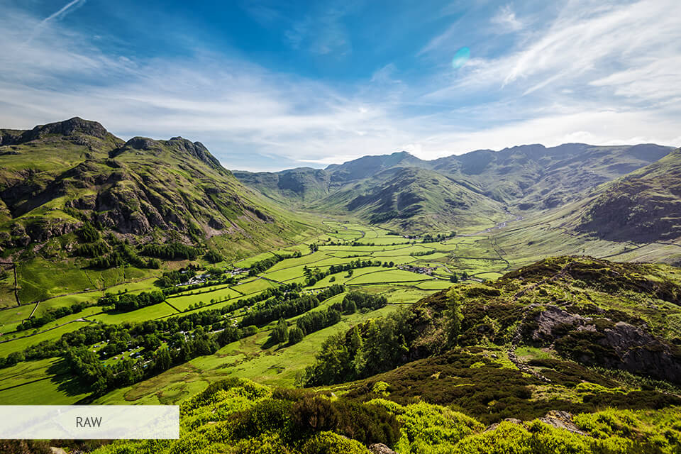 enhance landscape technique