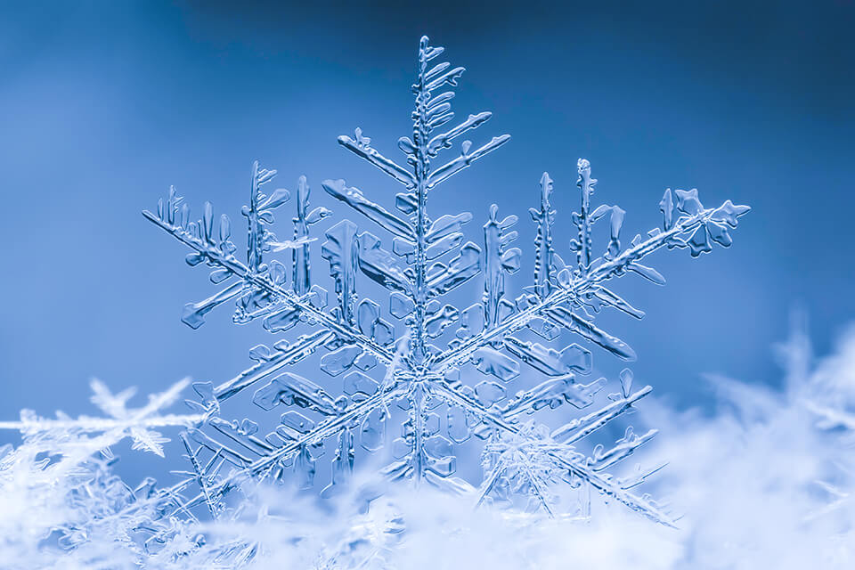 macro winter photography ideas