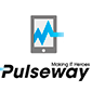 mmsoft pulseway management asset software logo