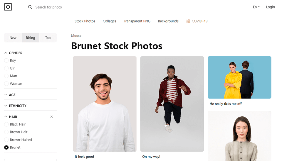 moose collection photo creator review