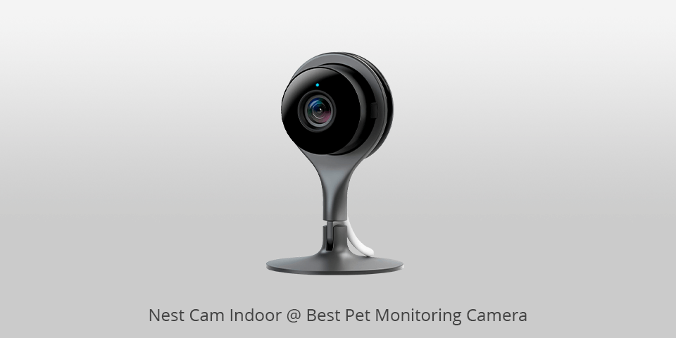 pet monitoring camera nest cam