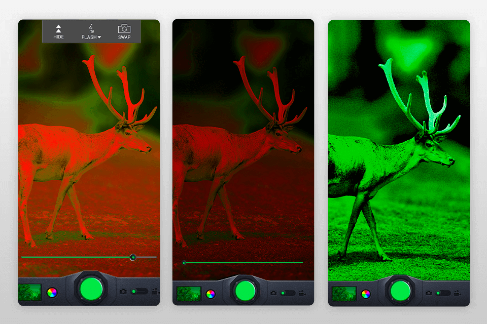 night camera lite app interface