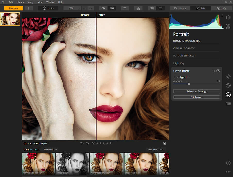 luminar smart tone filter