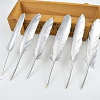 feathers photo booth props