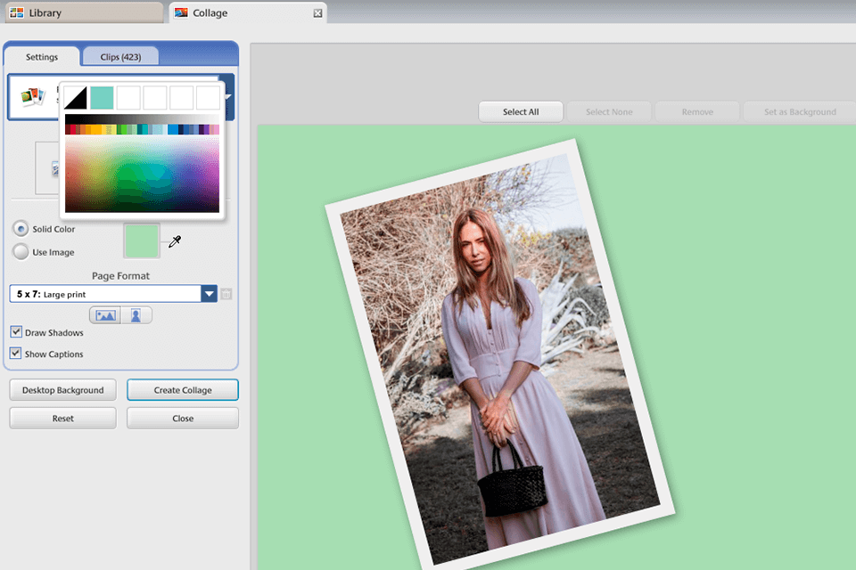 picasa collage app for mac interface