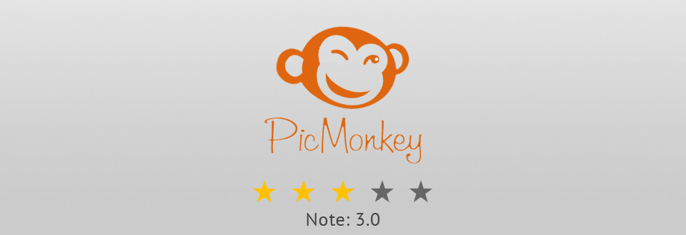 logo picmonkey