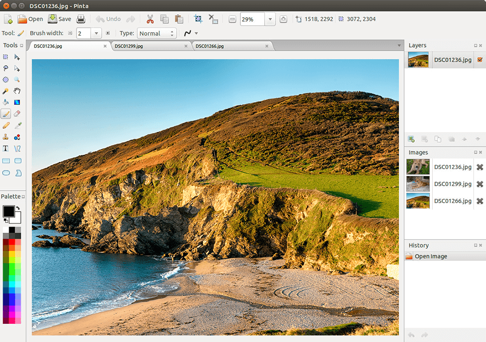 pinta for linux interface