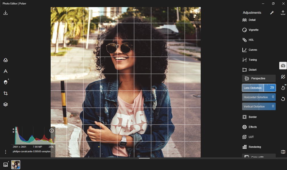 polarr pro toning distort
