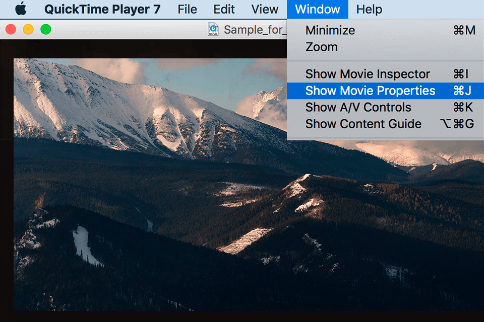 quicktime player movie properties