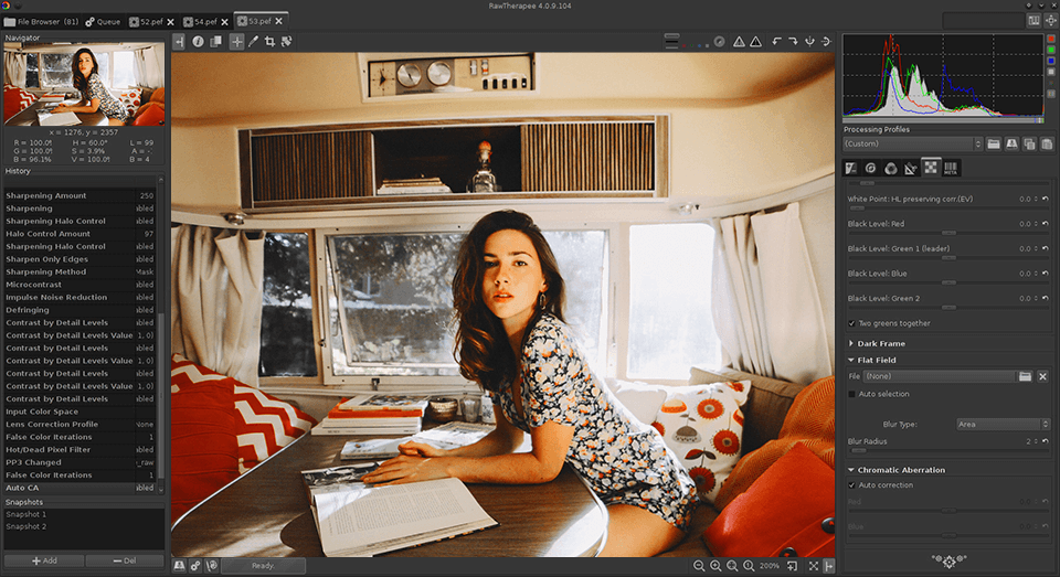 rawtherapee best lightroom for linux interface