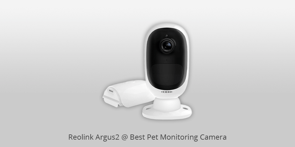 pet monitoring camera reolinc argus