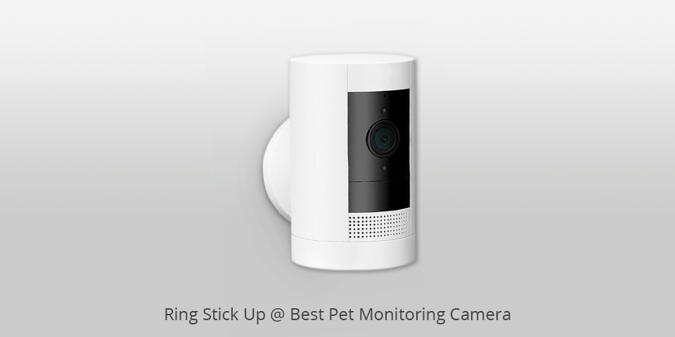 pet monitoring camera ring